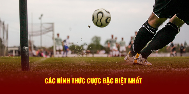 Các hình thức chơi cá cược đặc biệt nhất